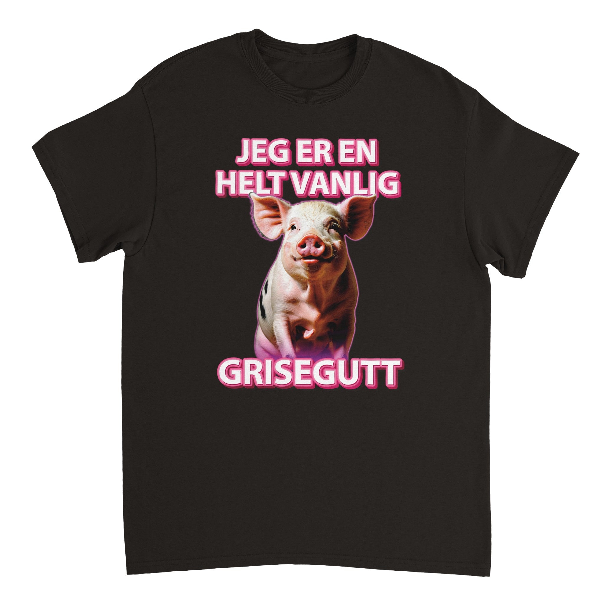 En Helt Vanlig Grisegutt